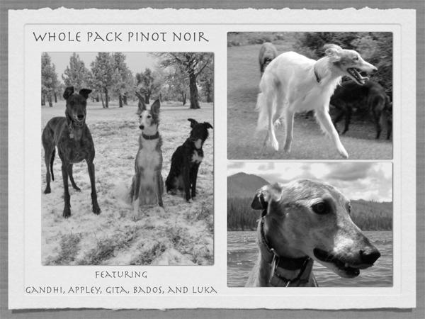 Whole Pack Pinot Noir
