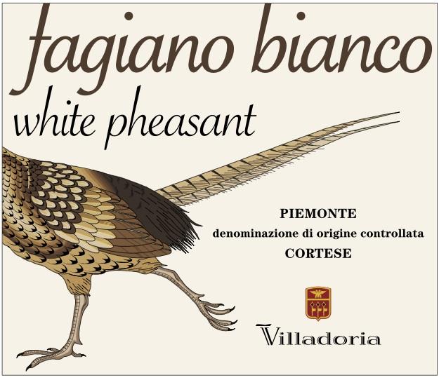 Fagiano Bianco