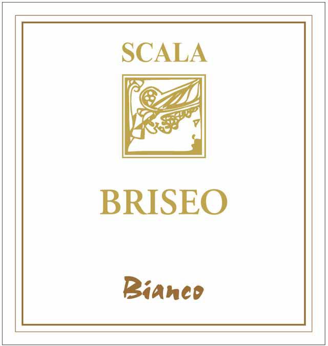 Briseo