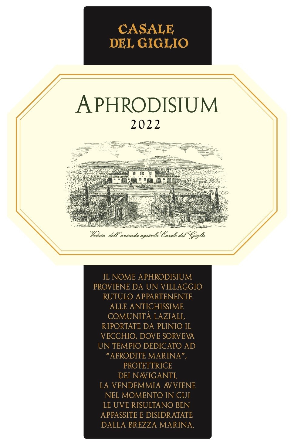 Aphrodisium
