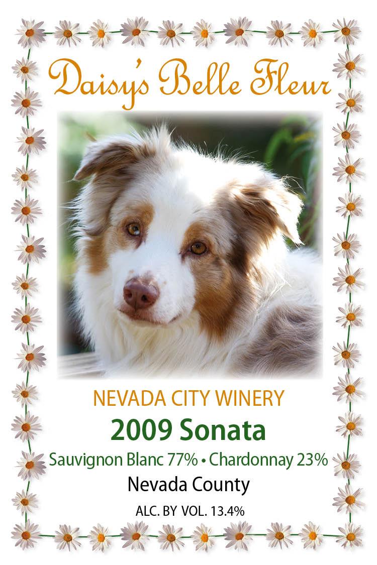 Daisy's Belle Fleur