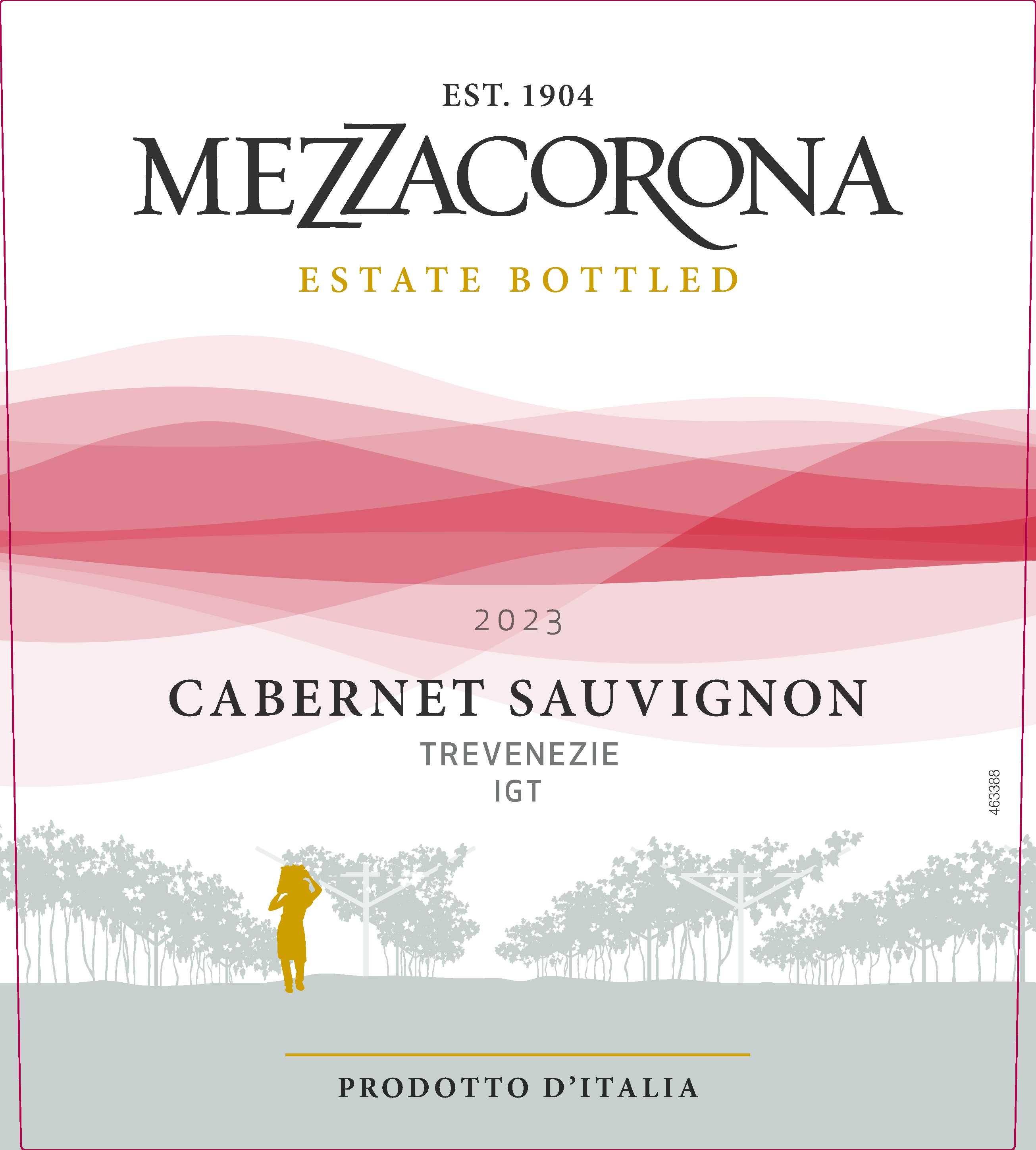 Cabernet Sauvignon Trevenezie Igt