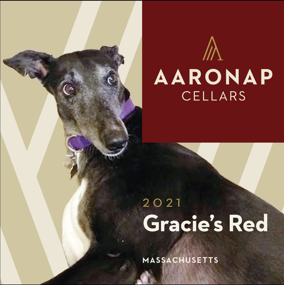 Gracie's Red