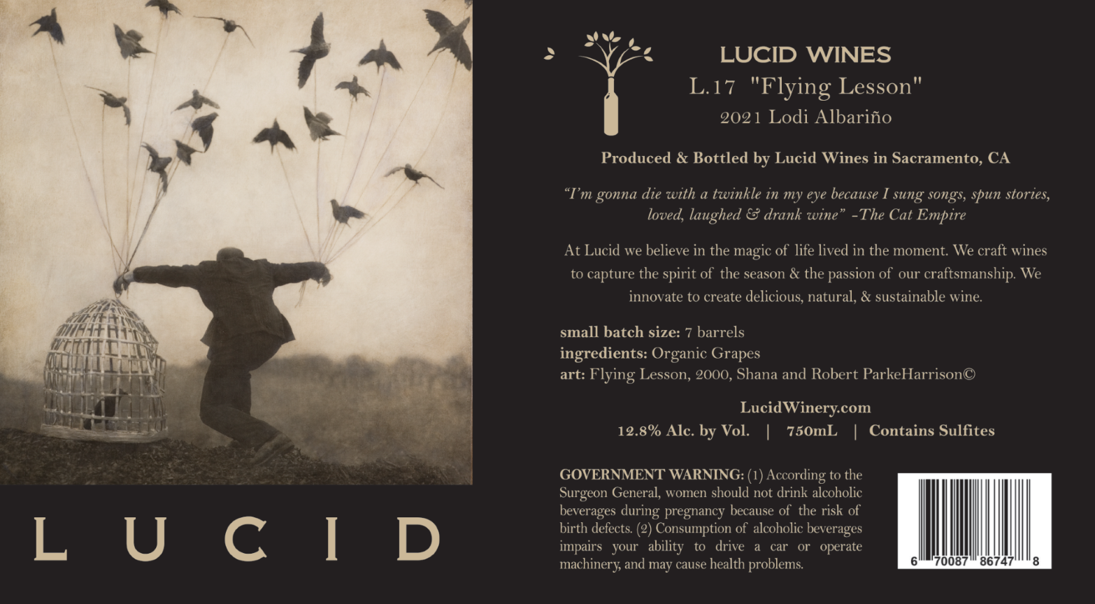 L.17 "Flying Lesson"