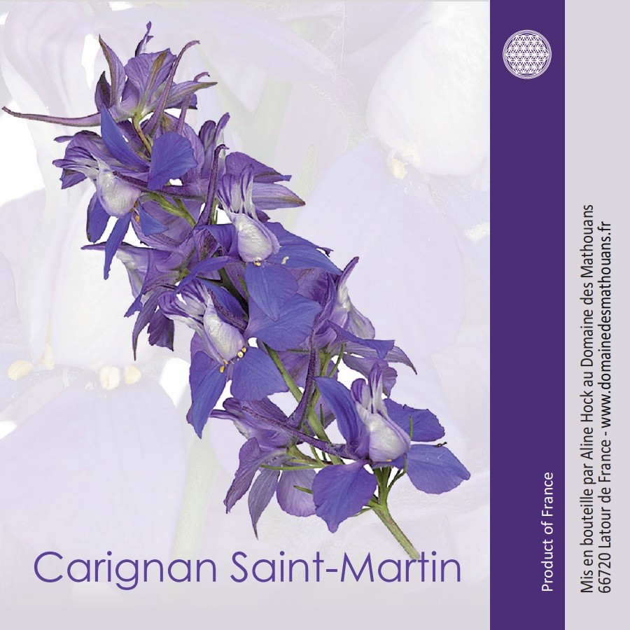 Carignan Saint Martin