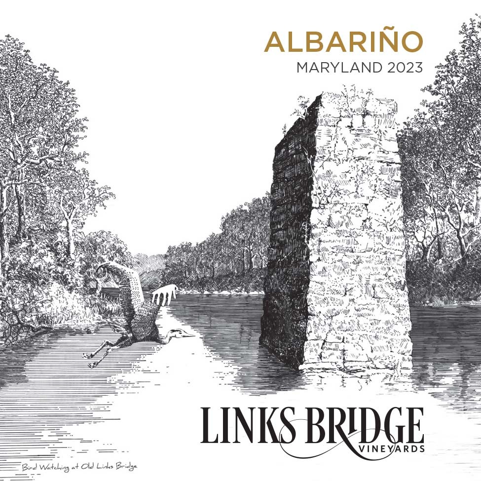 Bird Watching At Old Links Bridge