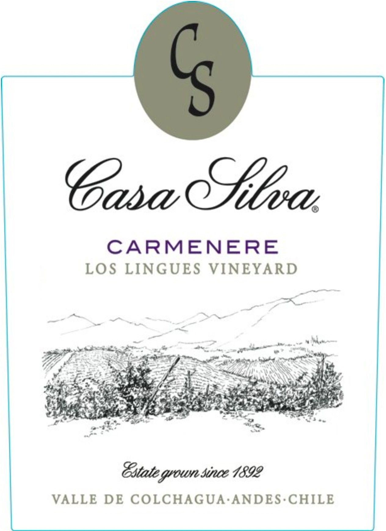 Los Lingues Vineyard