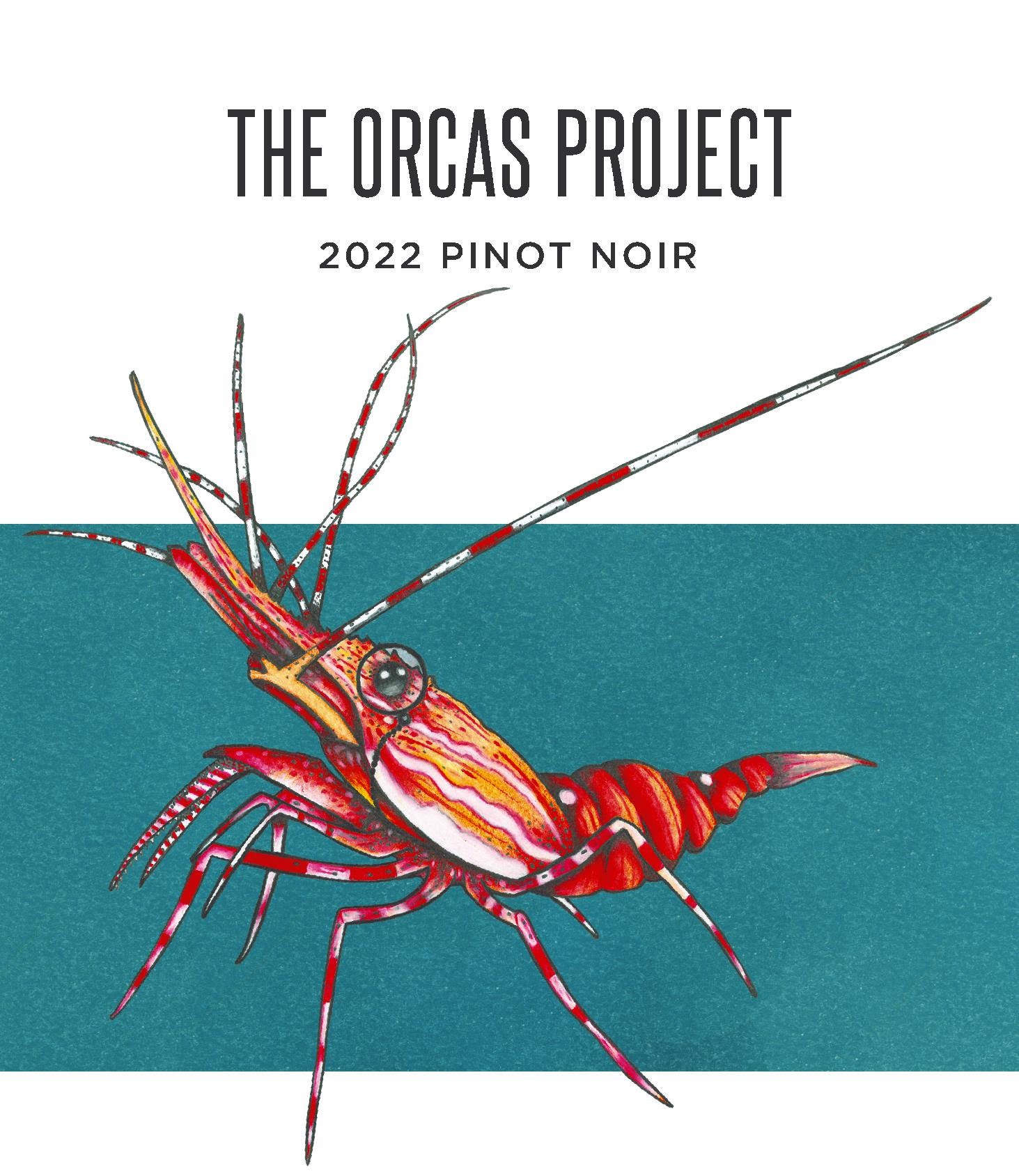 Walnut Ridge Vineyard