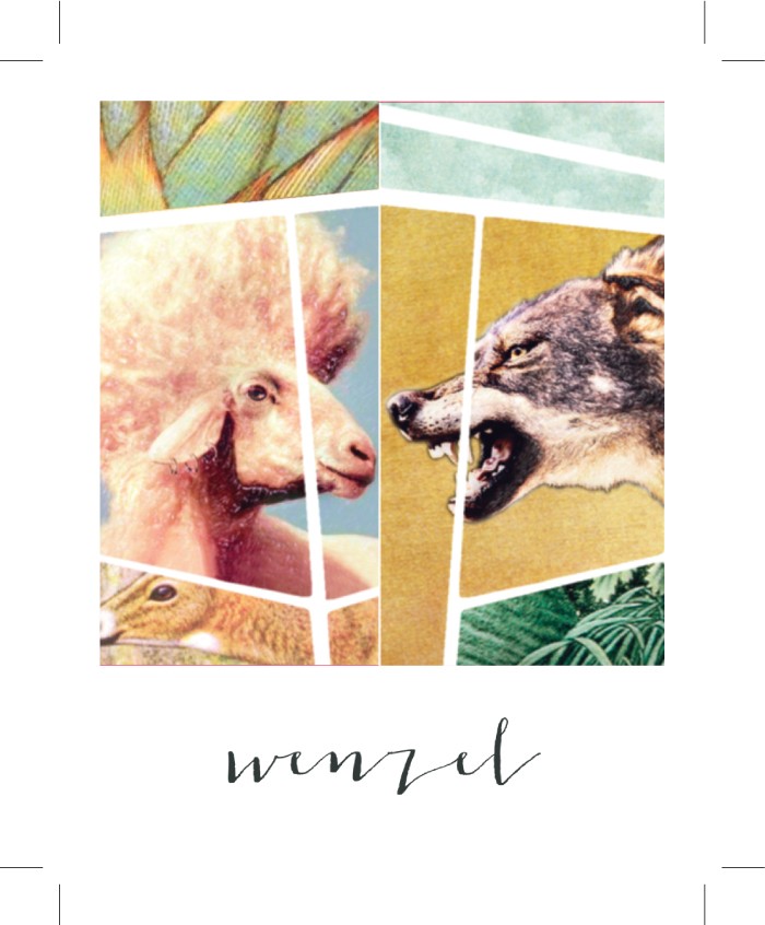 Wolf And Sheep