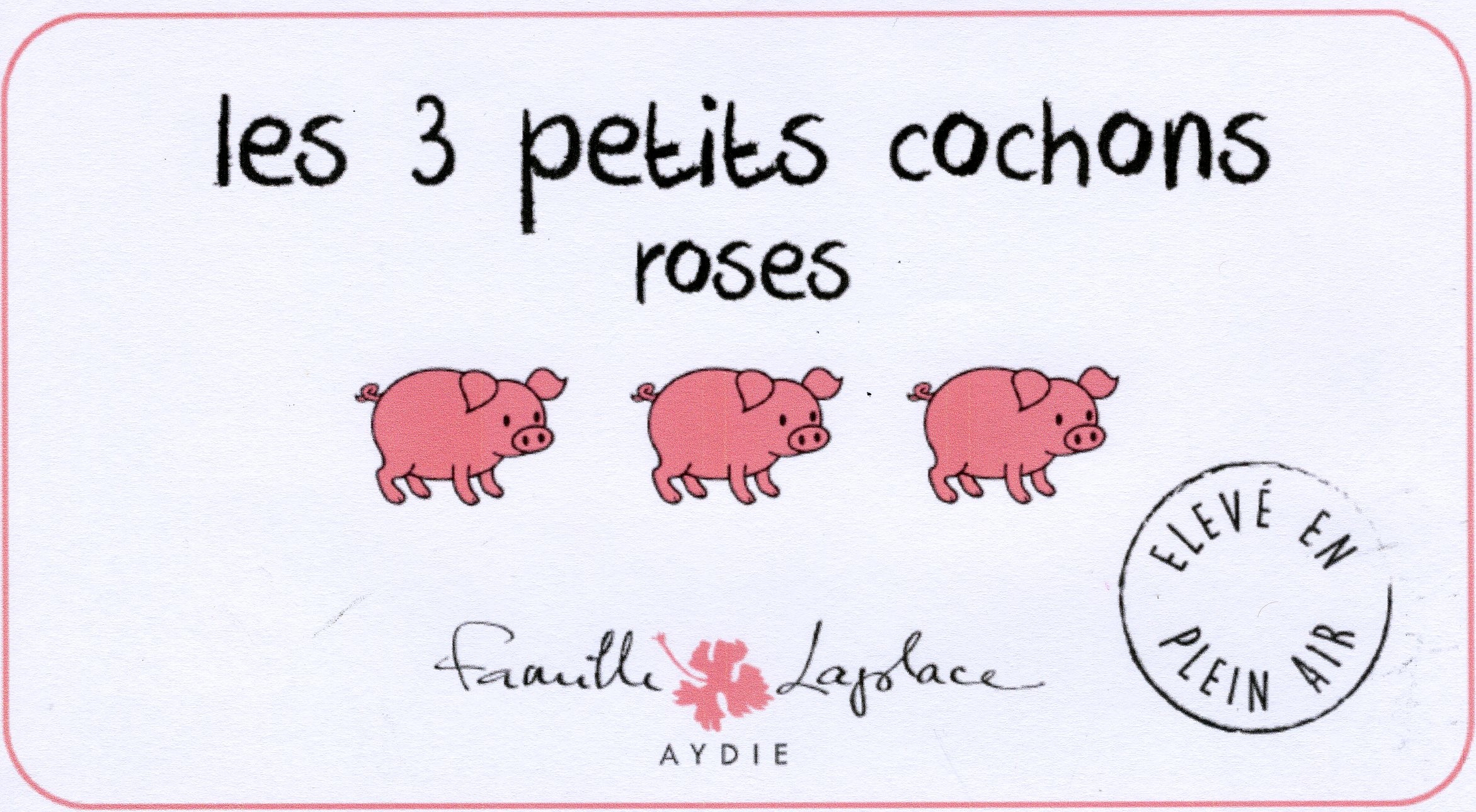 Les 3 Petits Cochons