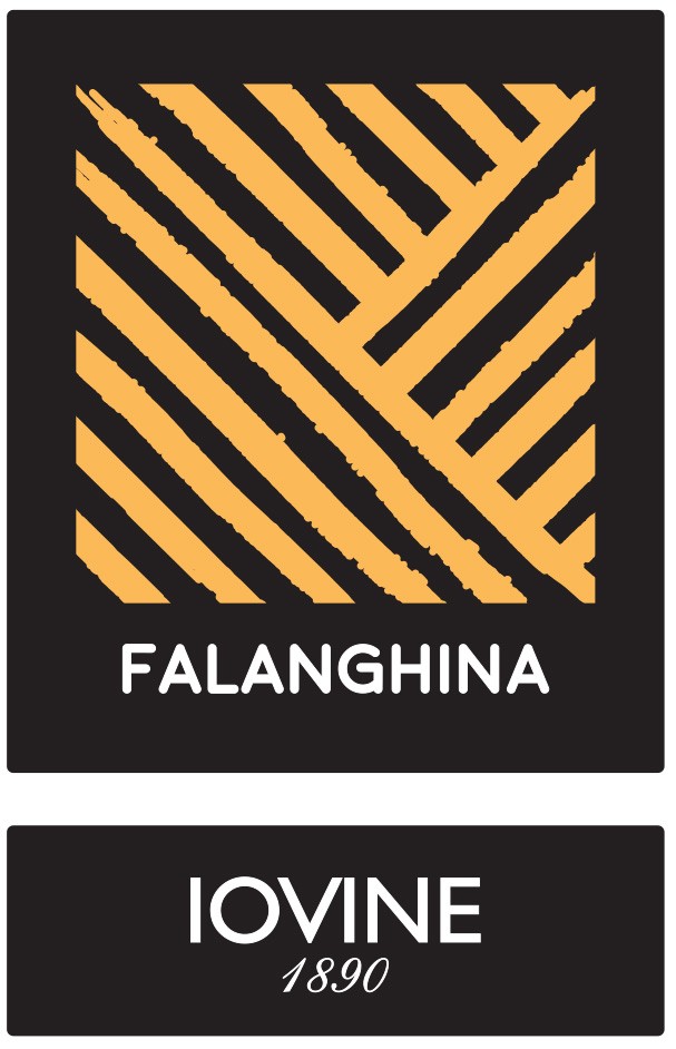 Falanghina Campania
