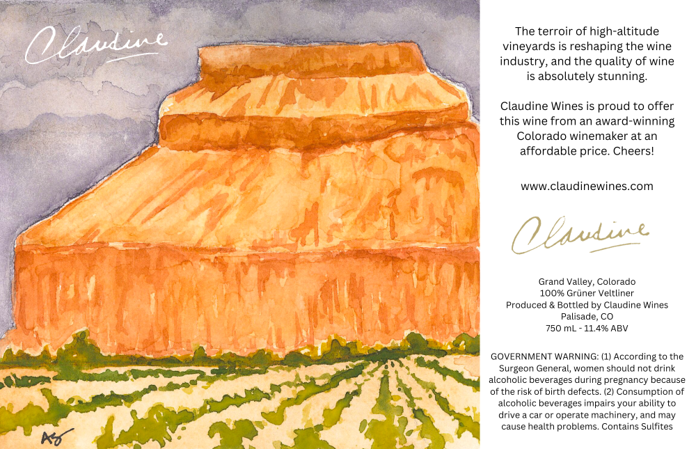 The Terroir Of High-Altitude Vineyards