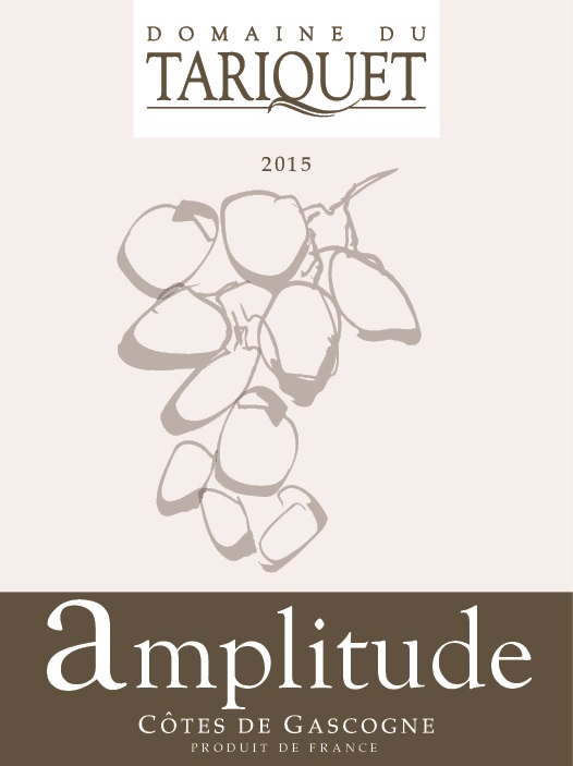 Amplitude