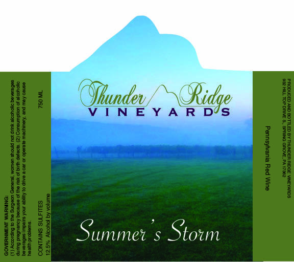 Summer's Storm