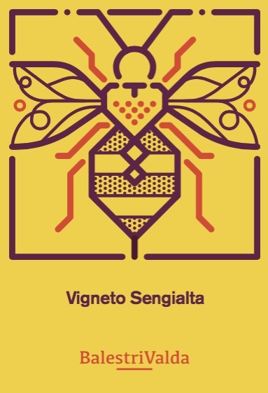 Vigneto Sengialta