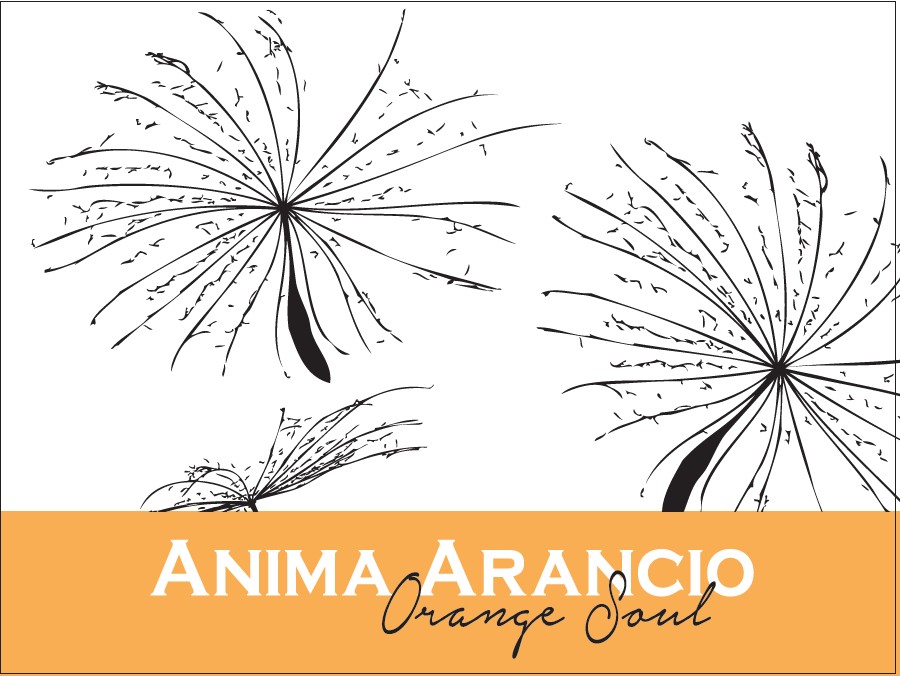 Anima Arancio