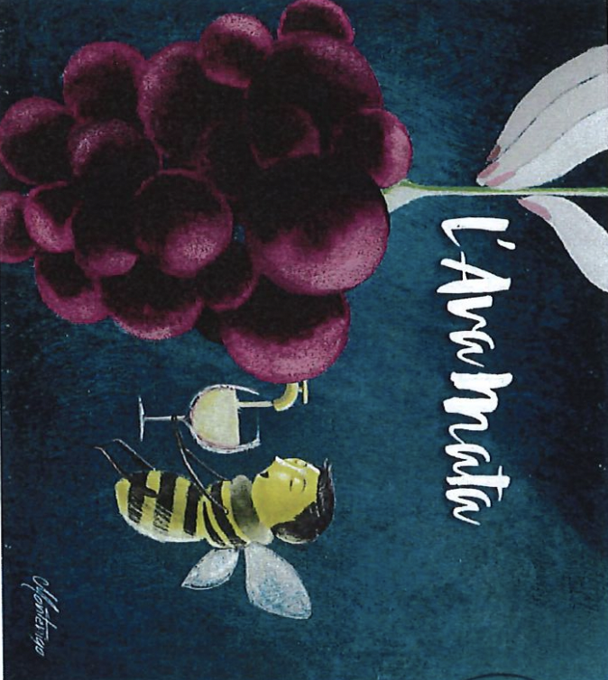 Veneto Indicazione Geografica Tipica Bianco