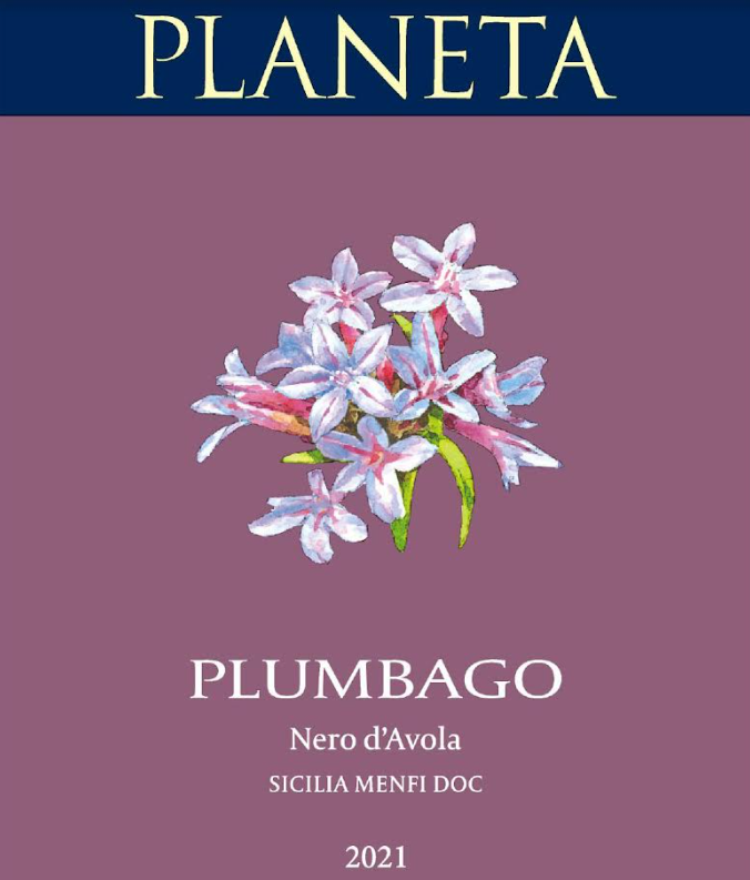 Plumbago