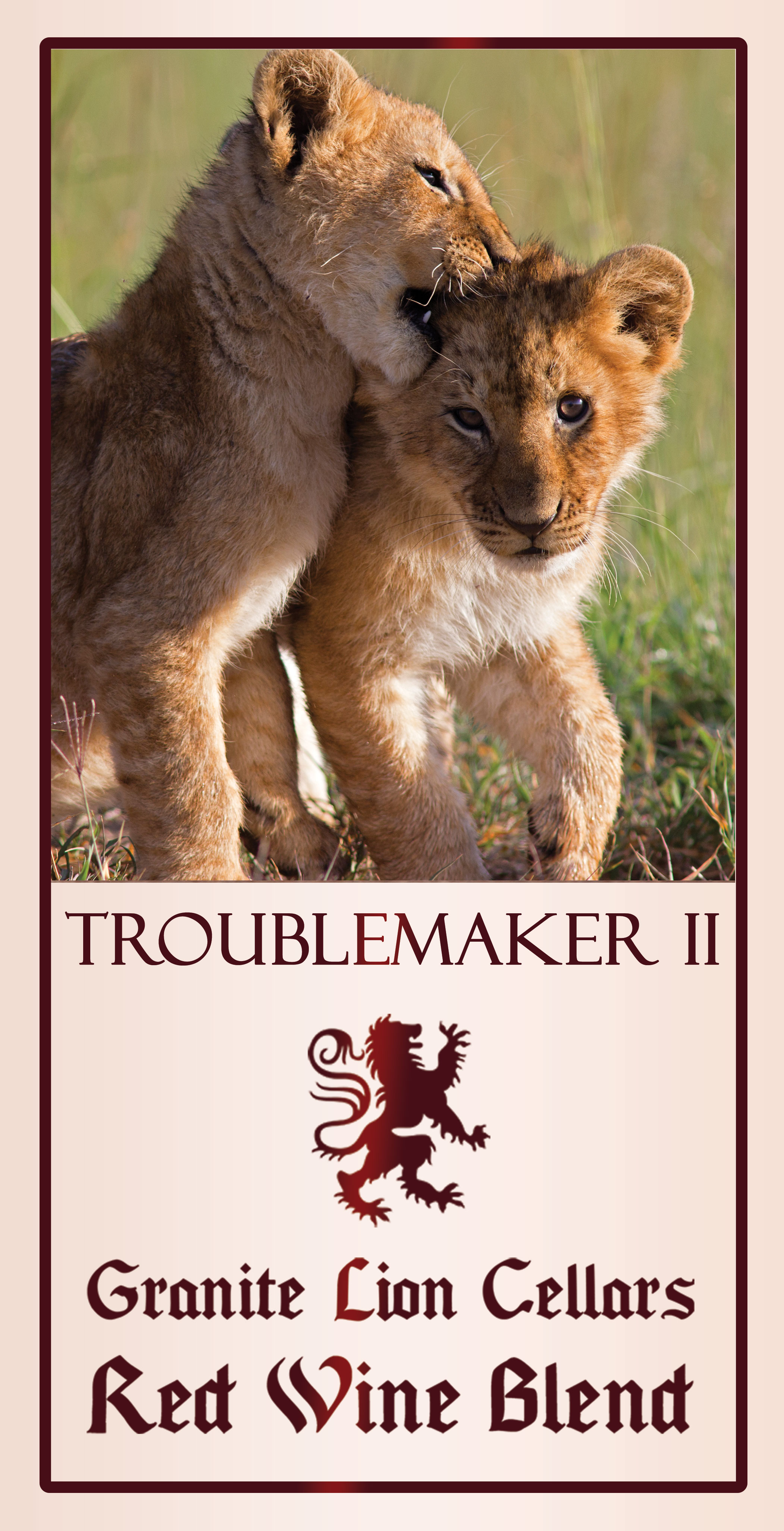 Troublemaker Ii