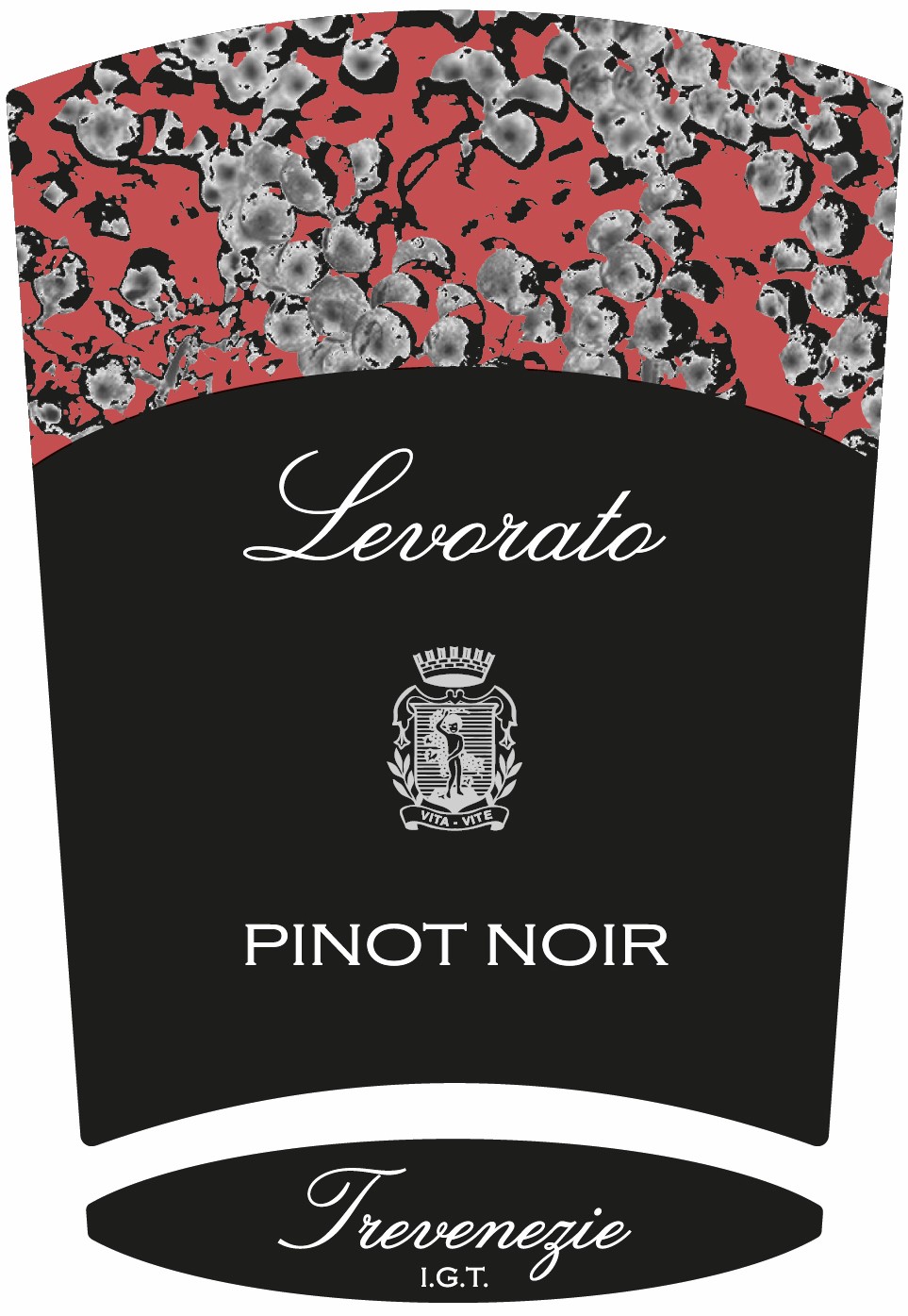 Vita - Vite Pinot Noir