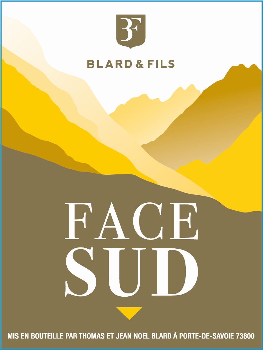Face Sud