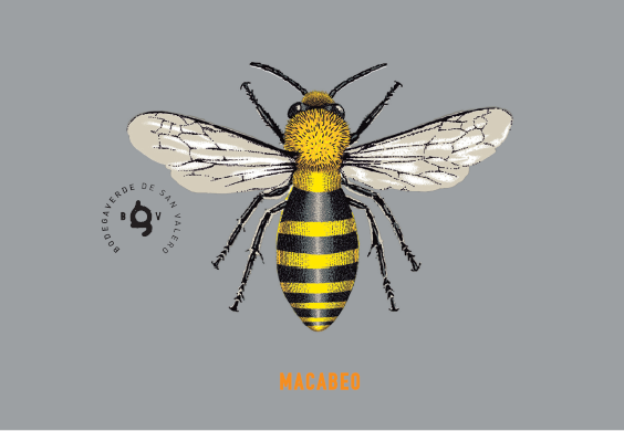 Verde White Wine Macabeo