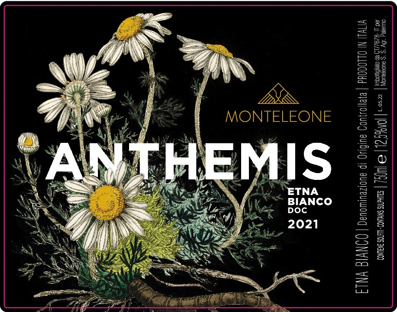 Anthemis