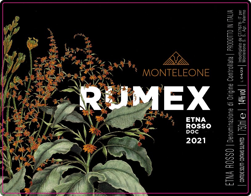 Rumex