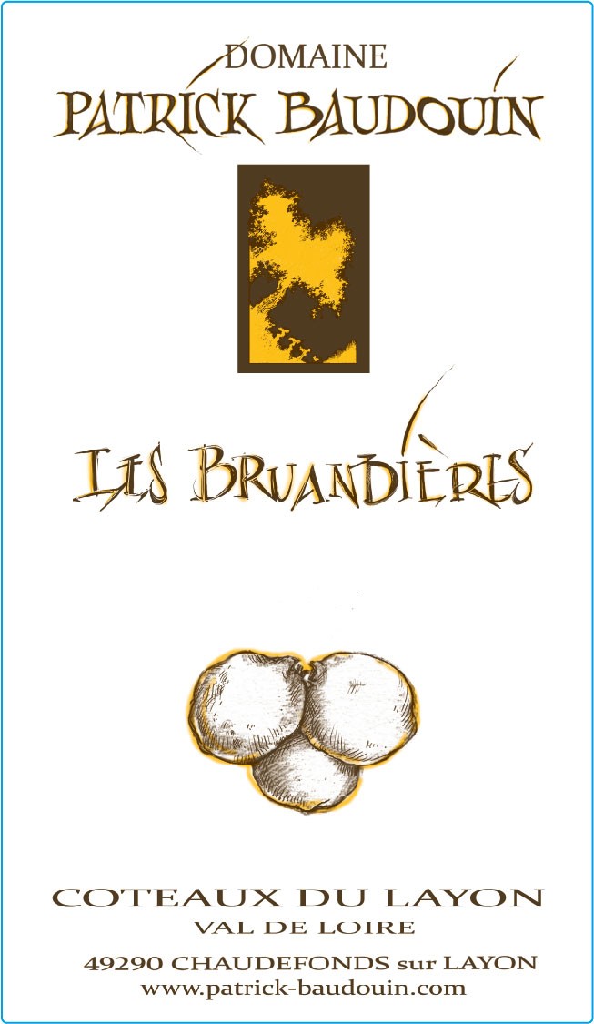 Les Bruandieres