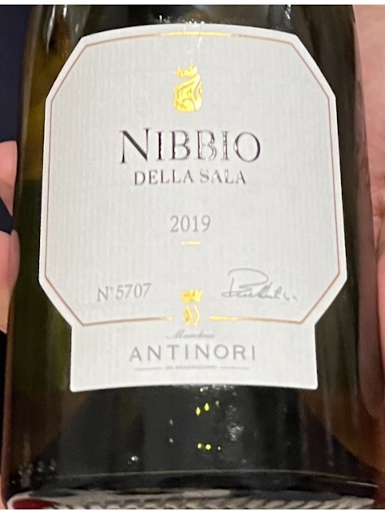 Nibbio