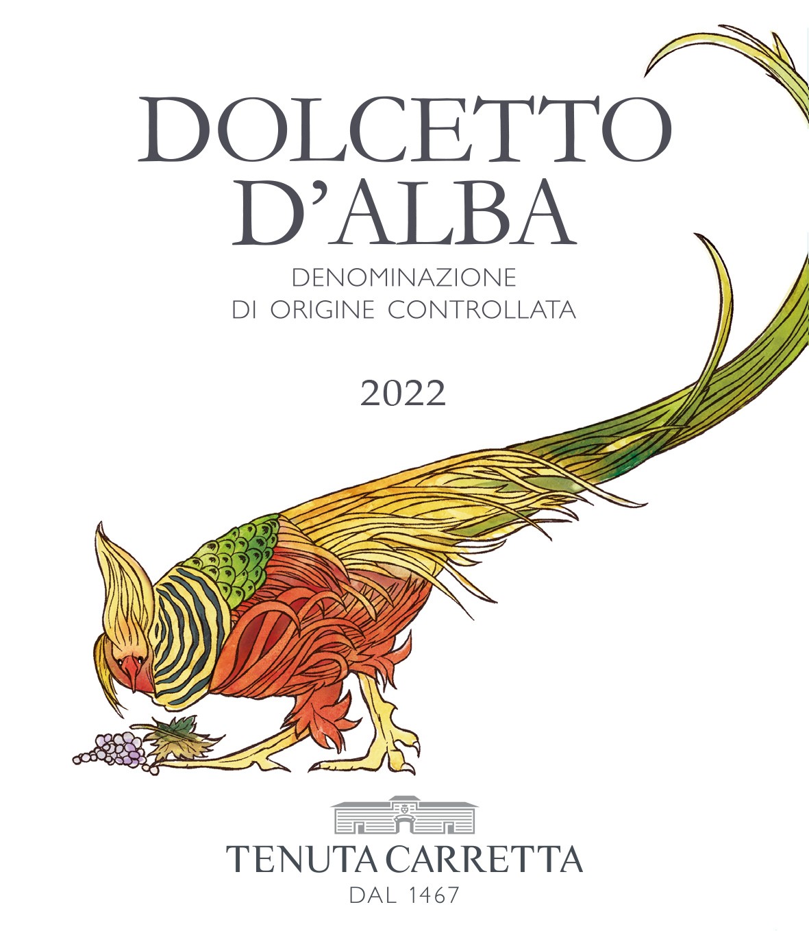 Dolcetto D'alba