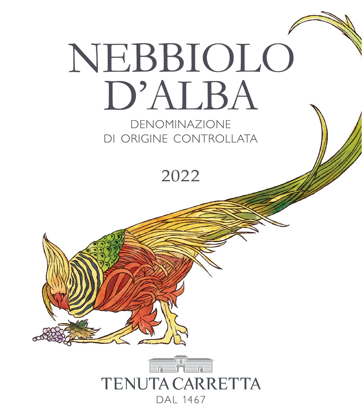 Nebbiolo D'alba