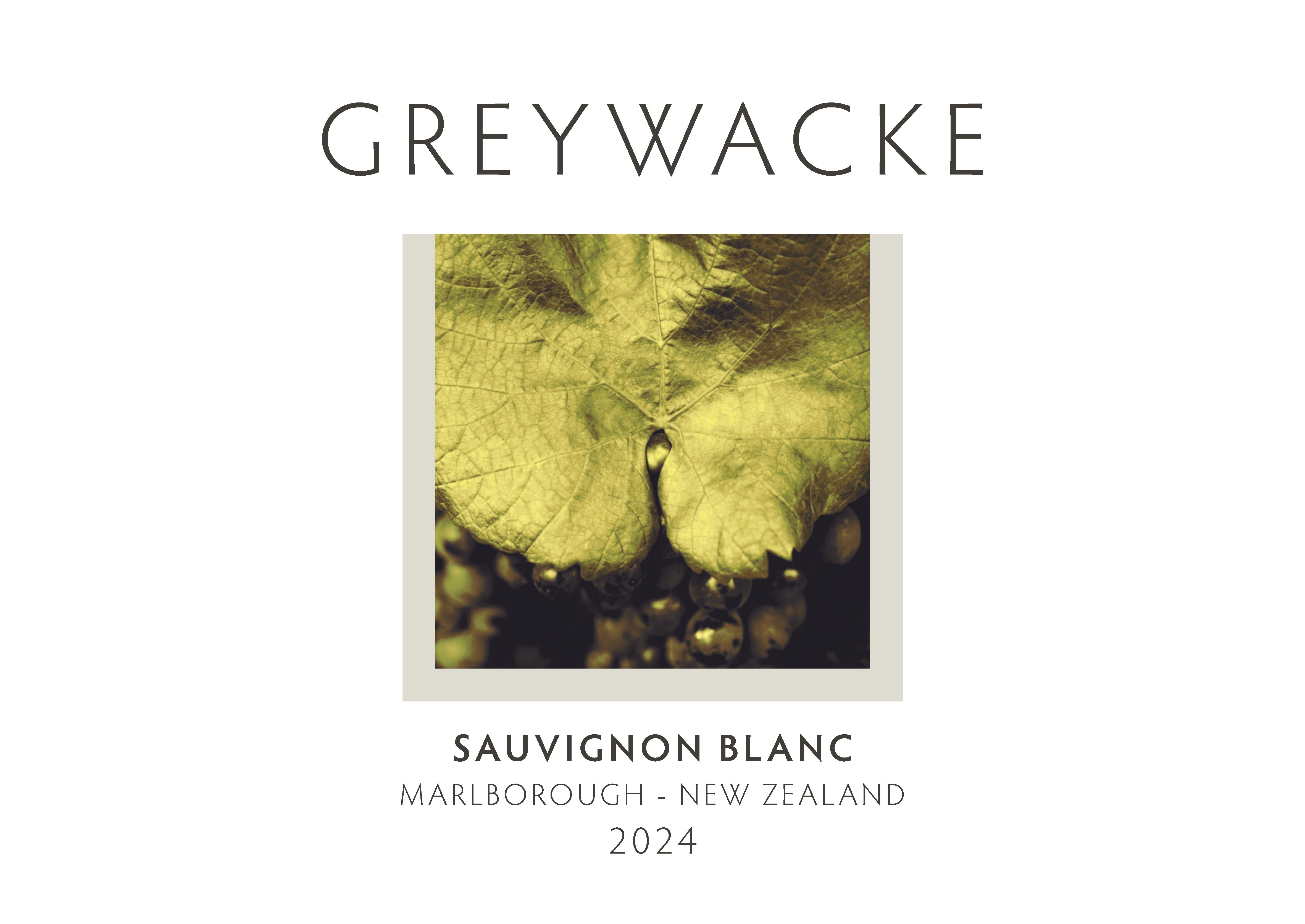 Sauvignon Blanc
