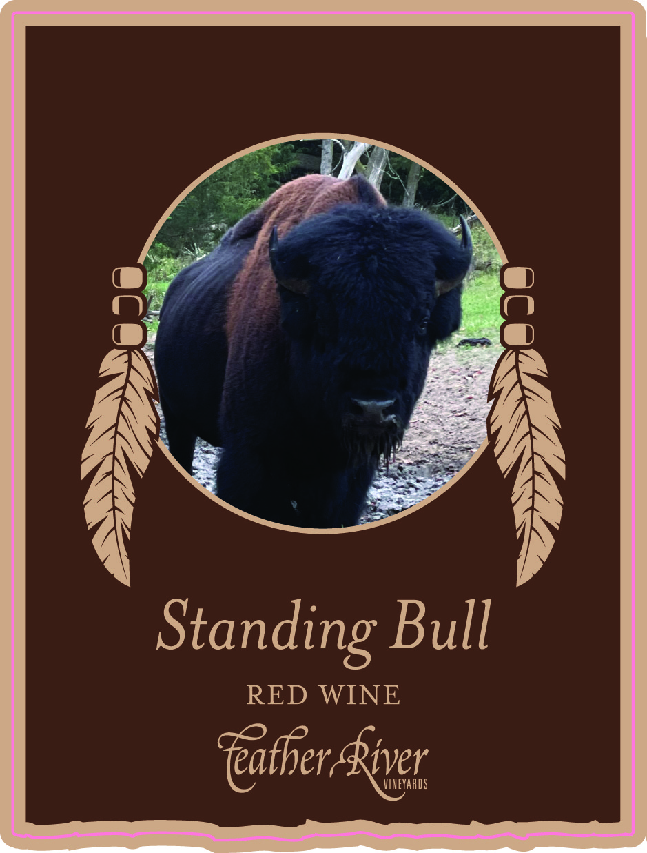 Standing Bull