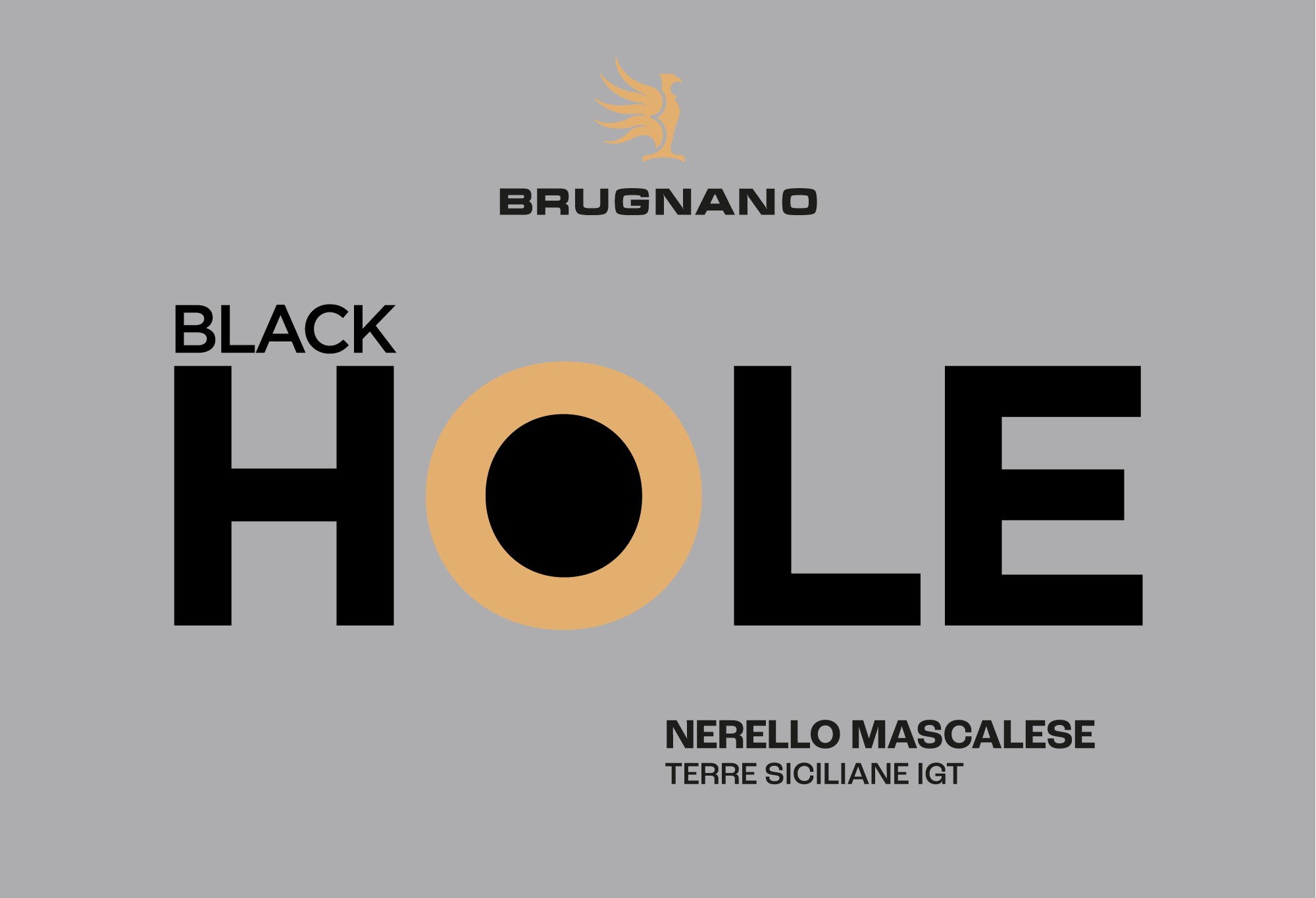 Black Hole