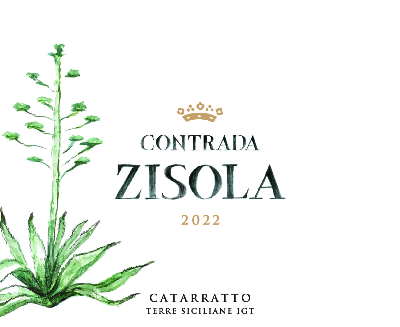 Contrada Zisola