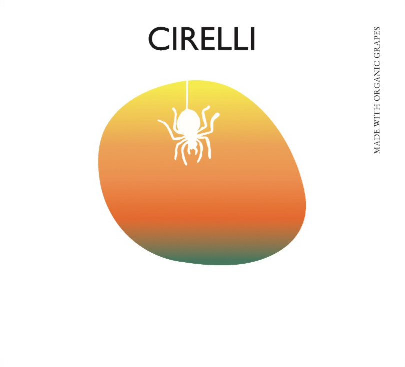 Vino Bianco Macerated On The Skins