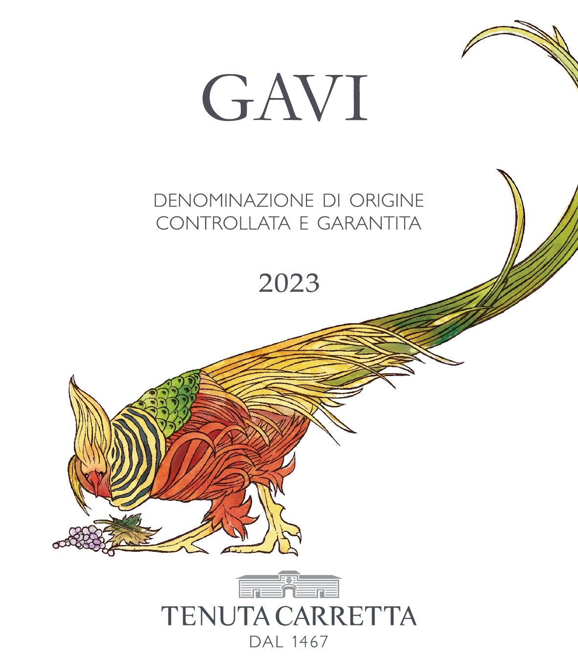 Gavi White Wine