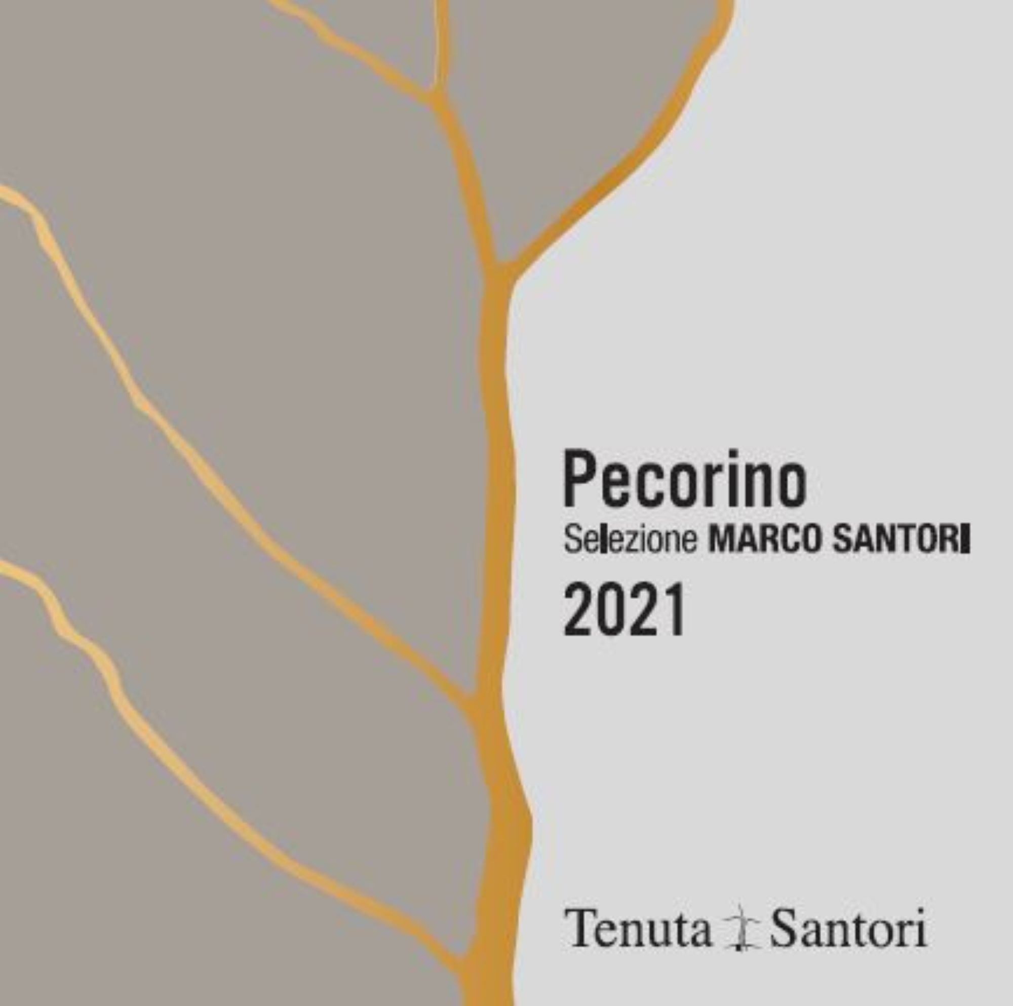 Pecorino Selezione