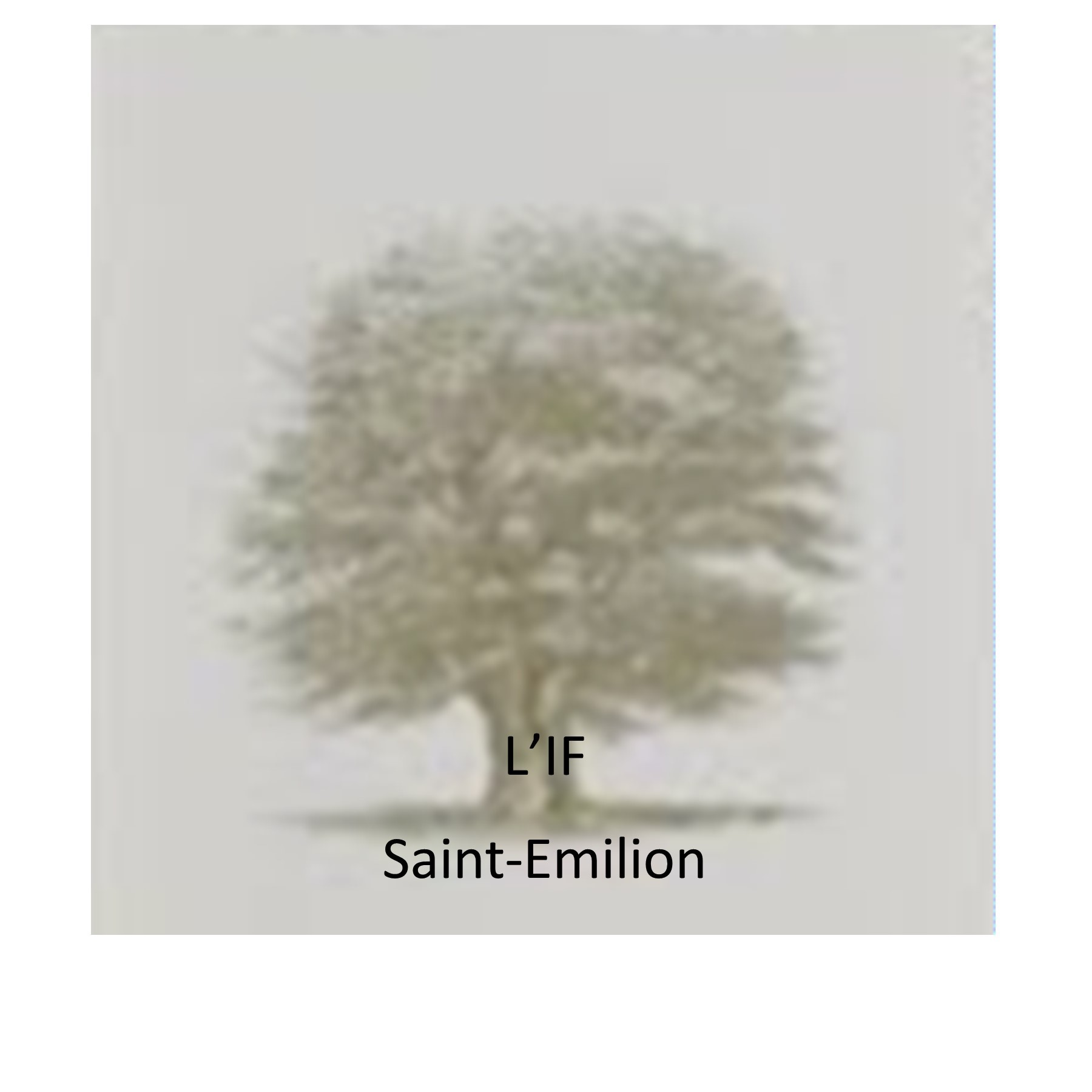 L'if Saint - Emilion