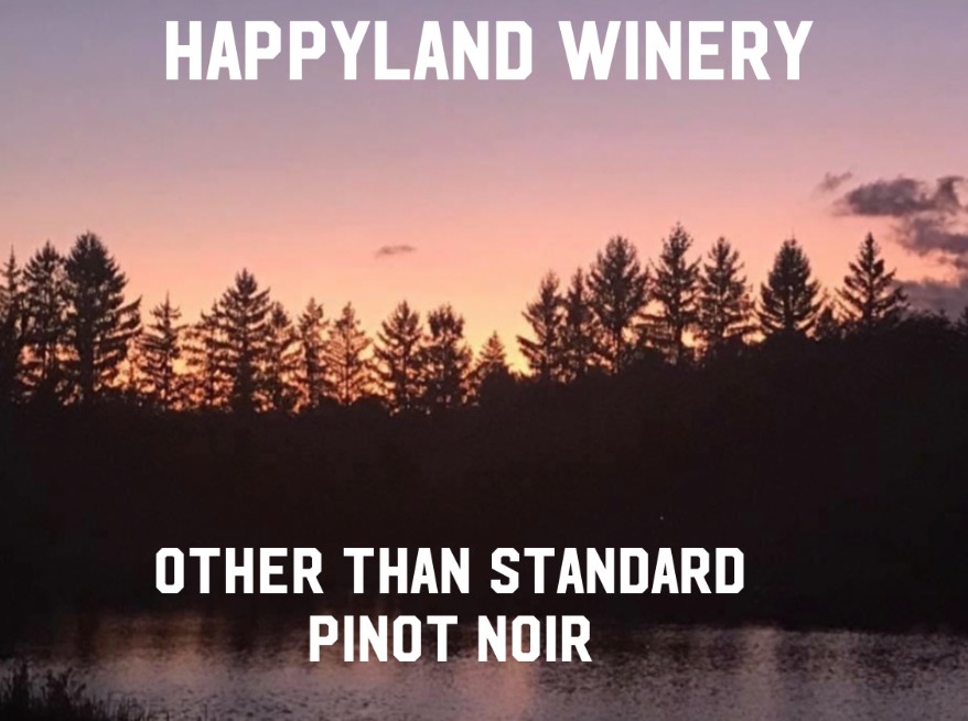 Other Than Standard Pinot Noir