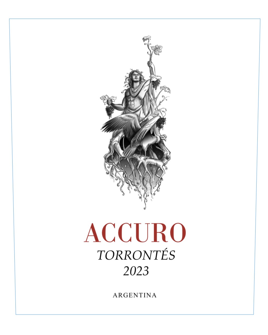 Accuro Torrontés