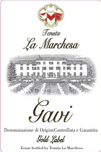 Gavi