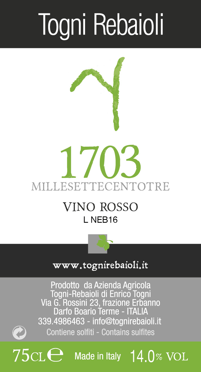 1703 Millesettecentotre
