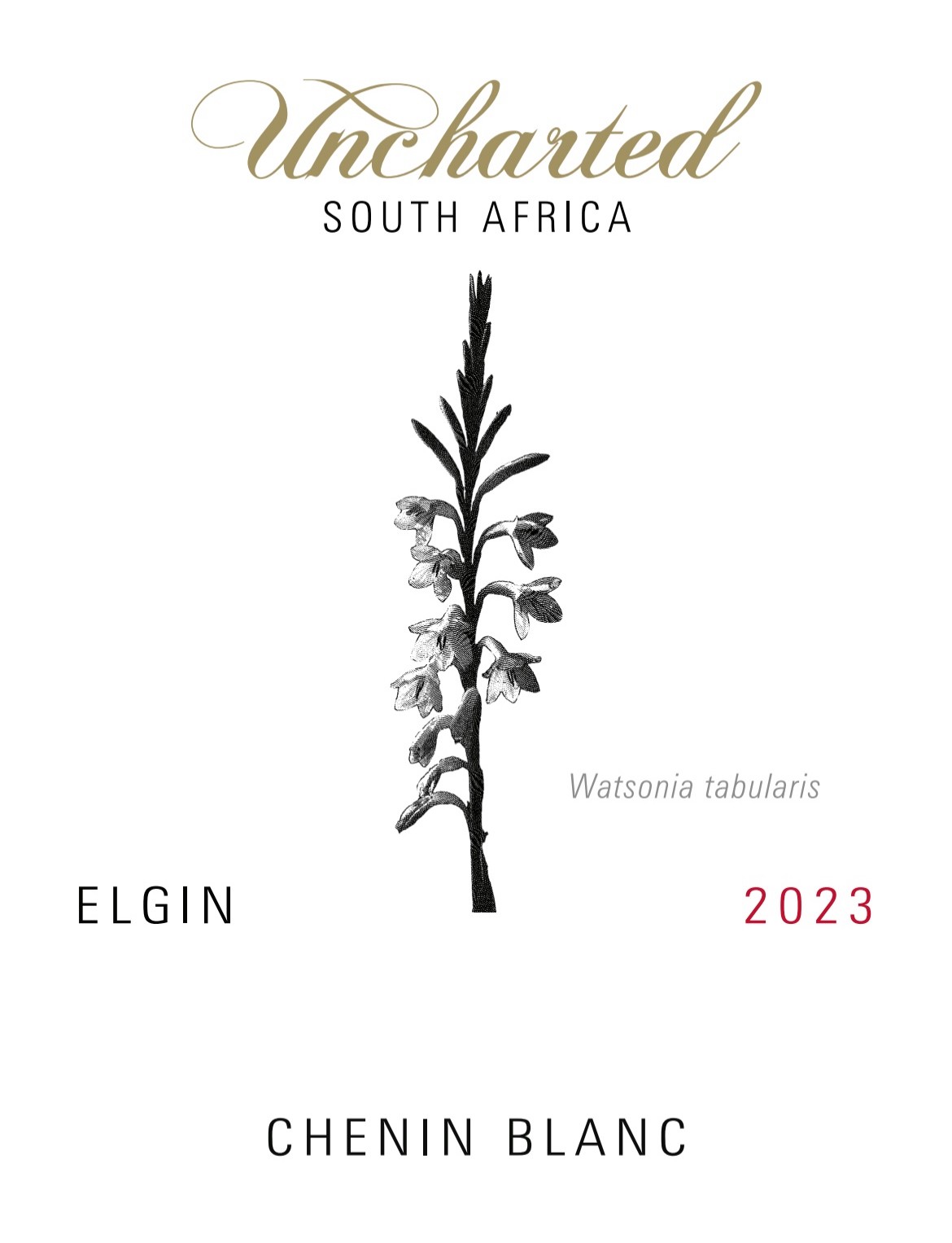 Uncharted Chenin Blanc