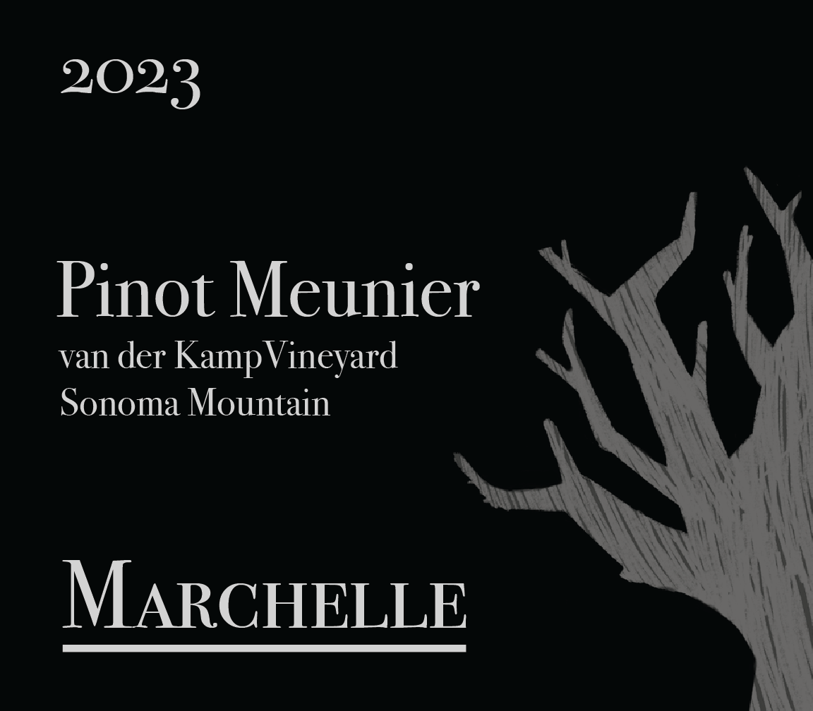 Van Der Kamp Vineyard