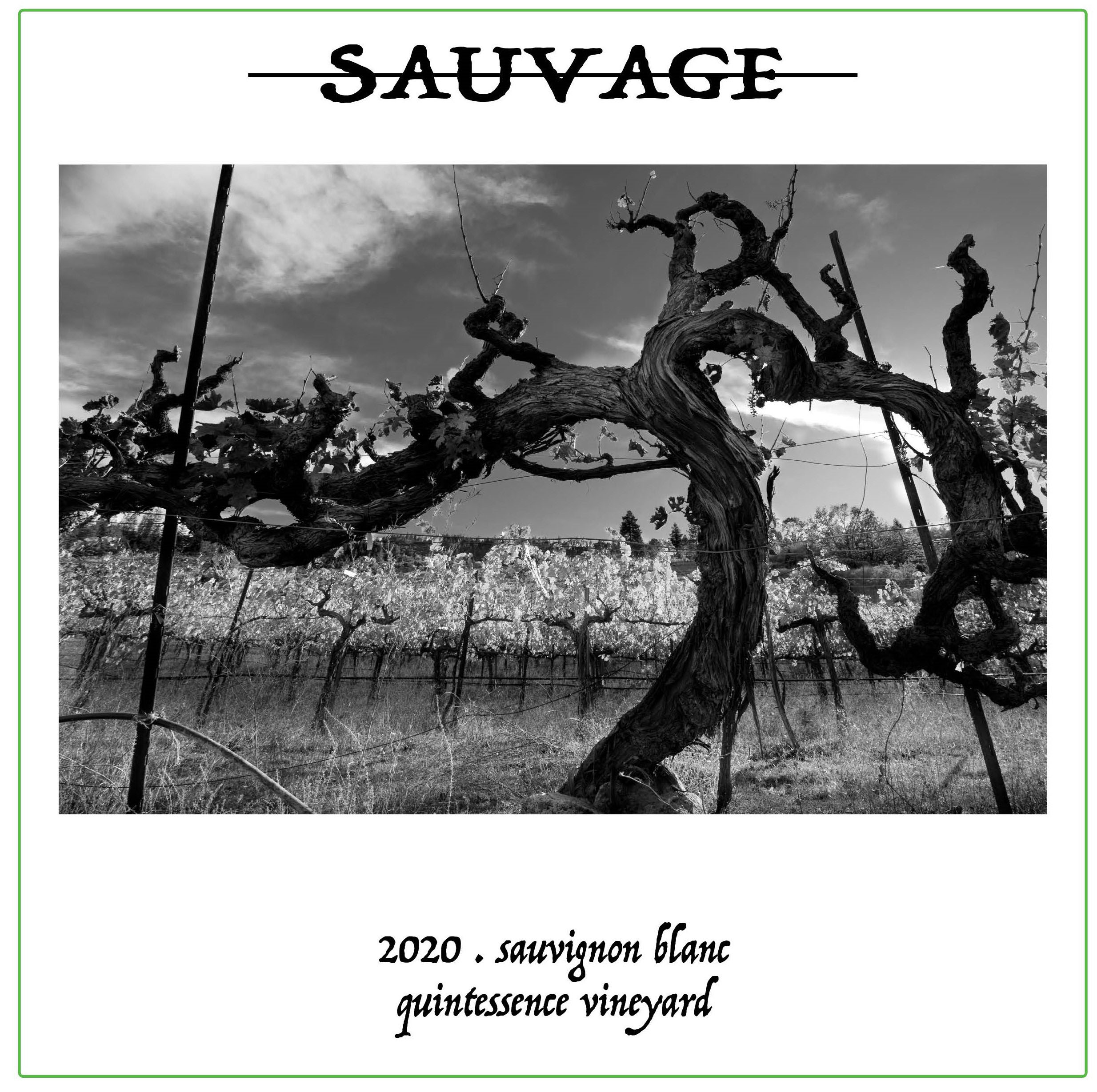 Sauvage