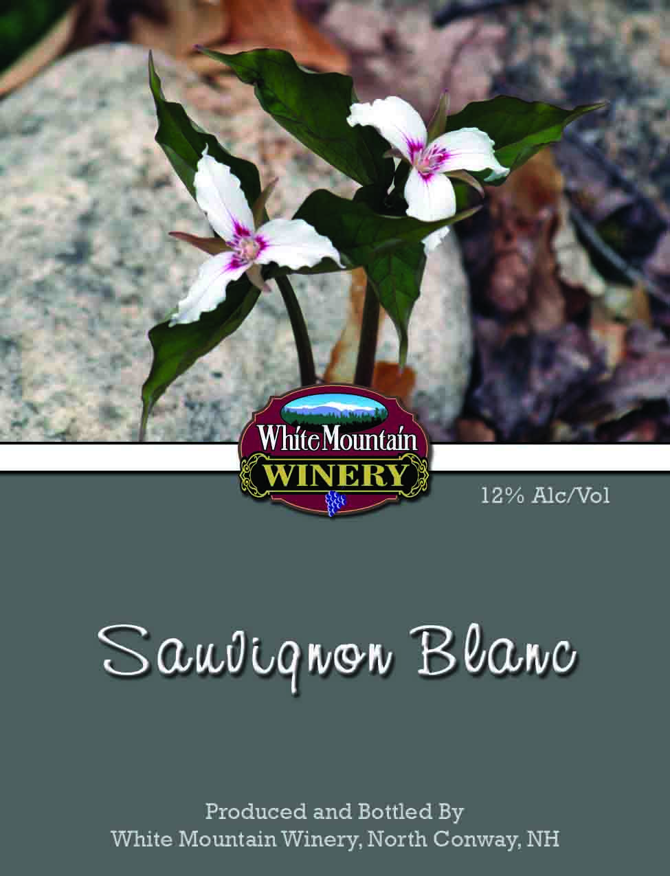 Sauvignon Blanc