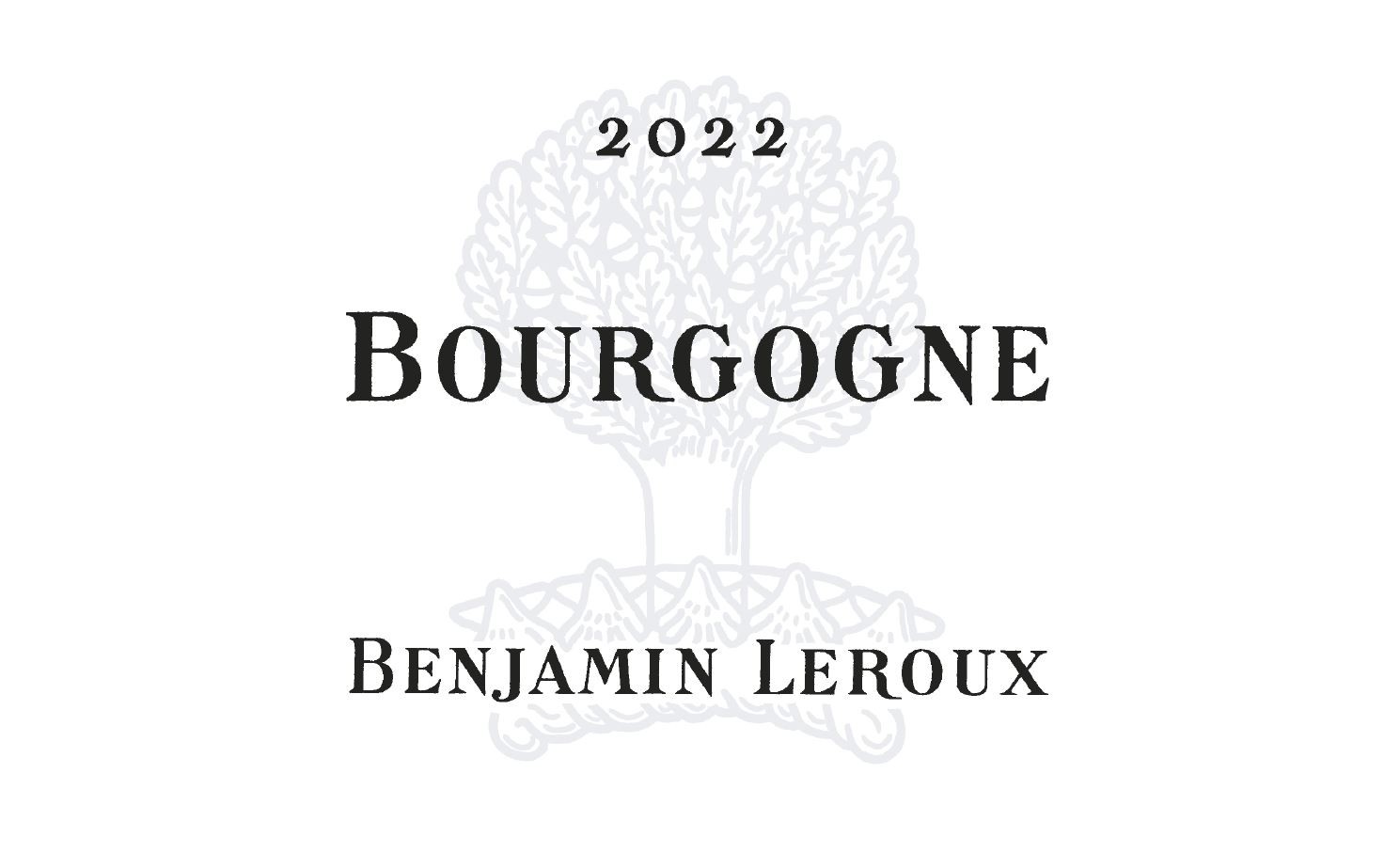 Becky White Burgundy