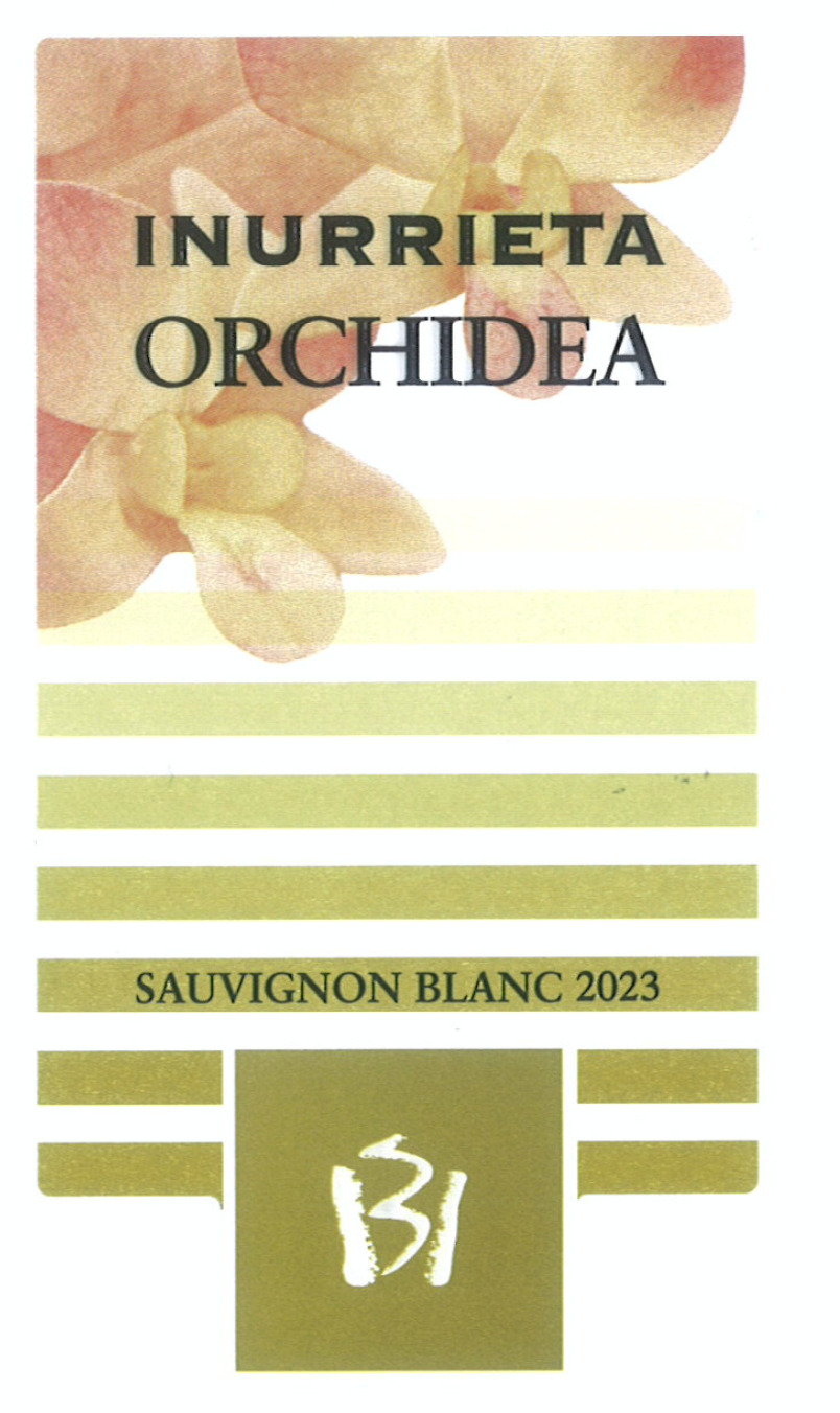 Orchidea